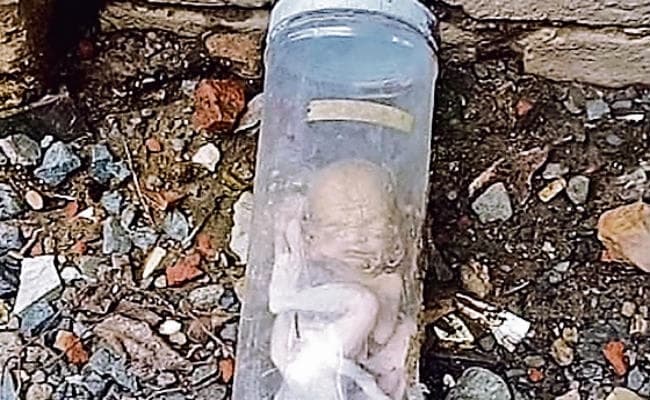 मां ! आखिर मेरा क्या कसूर था