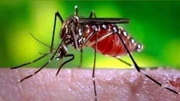 डेंगू बुखार से जान जाने का सिलसिला शुरू, पटना में डेंगू से हुई पहली मौत