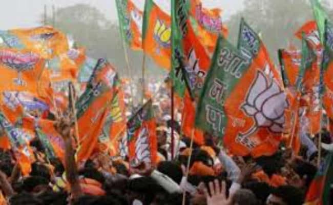 ”झारखंड में विकास के मुद्दे पर चुनाव लड़ेगी भाजपा, राज्य में नहीं होगा कोई उपमुख्यमंत्री”