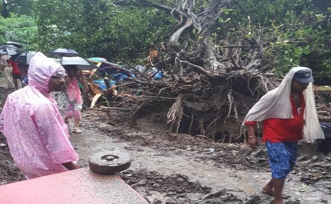 बिहार : पटना में ऑटो रिक्शा पर पेड़ गिरा, एक बच्ची समेत चार की मौत