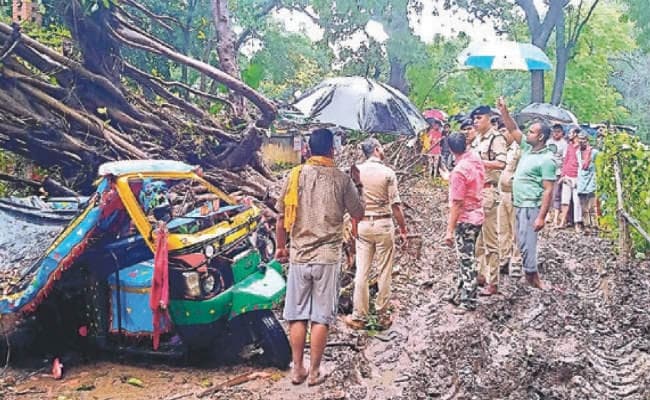 खगौल : टेंपो पर गिरा पेड़, एक ही परिवार के चार की मौत