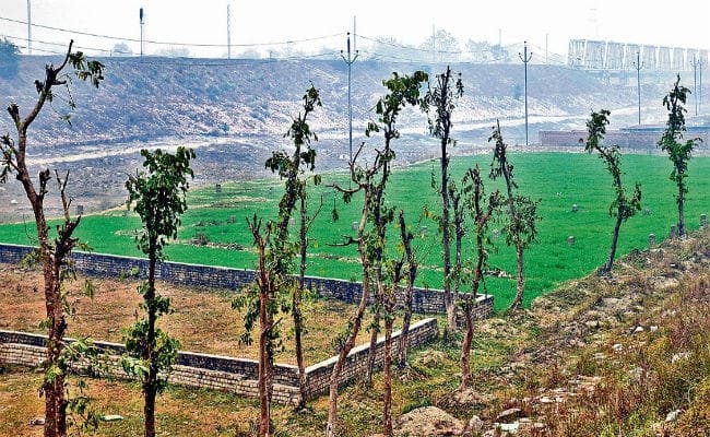 देश का सबसे अधिक प्रदूषित शहर है बिहार का मुजफ्फरपुर, अभी भी चल रही है हरियाली पर कुल्हाड़ी