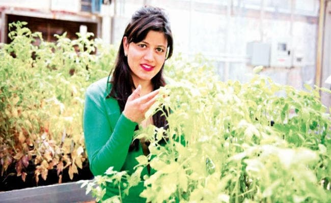 पेड़-पौधों से है प्यार बनें प्लांट पैथोलॉजिस्ट, जानें करियर की संभावनाएं