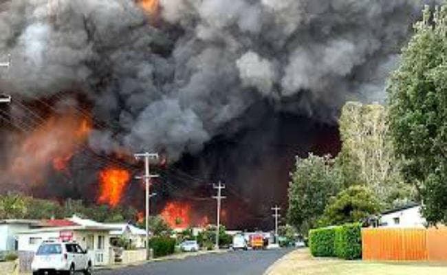 आस्ट्रेलिया की जंगल में आग का असर न्यूजीलैंड में आसमान में, लोगों ने आपात सेवा बुलायी