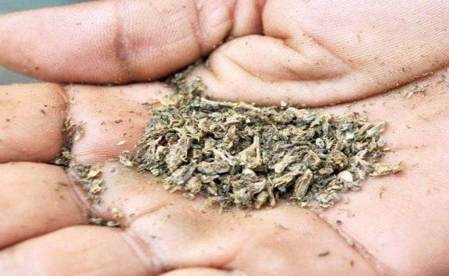 बाबूघाट के पास 30 किलो गांजा संग तीन गिरफ्तार