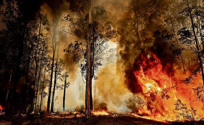 जंगलों में लगी आग से निकले खतरनाक धुंए का असर ऑस्ट्रेलियाई ओपन की तैयारी पर