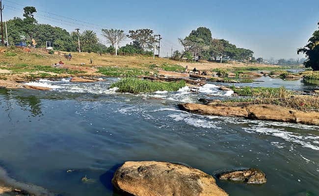 गंदगी से पटे हैं शहर के तालाब, अधिकारियों को नहीं है ख्याल