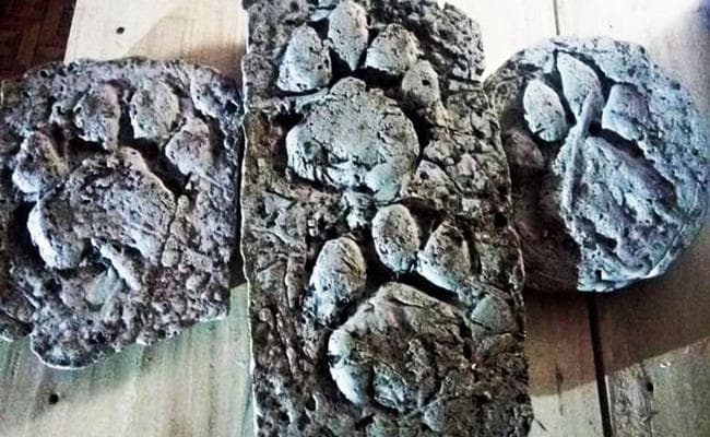 Jharkhand : घाटशिला में बाघिन का आतंक, लोगों के जंगल जाने और आग जलाने पर लगी रोक