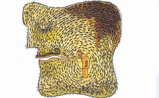 झारखंडी भाषाओं की पीड़ा हताशा और उम्मीदें