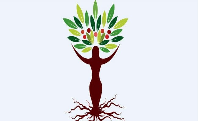 जल-जीवन-हरियाली : महिलाओं ने फूंका बिगुल, मन मे जज्बा हो, तो कुछ भी असंभव नहीं