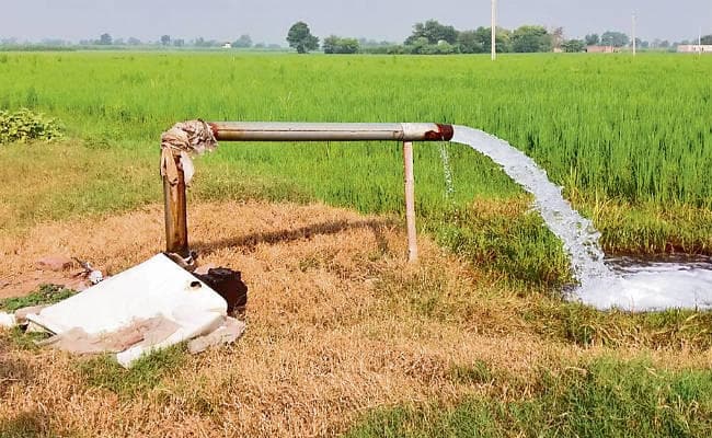 बिहार में तालाब, नहर व नलकूल से बढ़ी सिंचाई