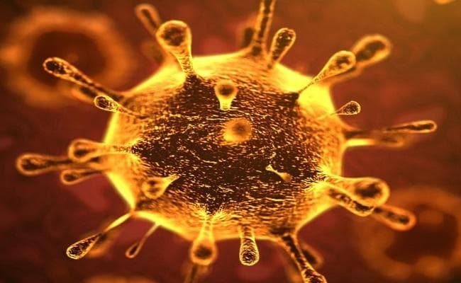 Corona virus: भारत में कोरोना की दस्तक, नोएडा में स्कूल बंद, आगरा से मिले 6 संदिग्ध, केरल से दिल्ली तक हडकंप