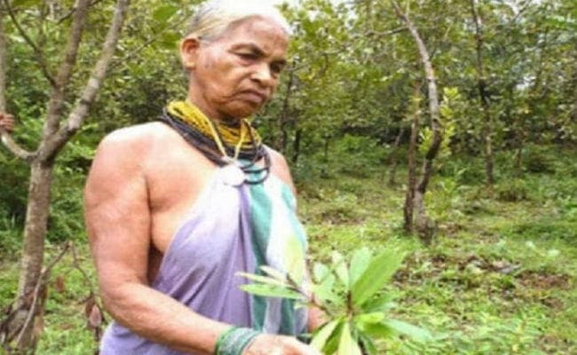 मुस्लिम भजन गायक, ''वनों की विश्वकोश'' पद्मश्री से सम्मानित गुमनाम नायकों में शामिल