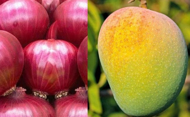 फसल वर्ष 2019-20 में प्याज का पैदावार 7 फीसदी बढ़ने का अनुमान, आम में आ सकती है गिरावट