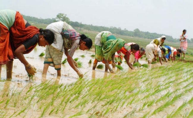 Budget 2020: किसानों के अच्छे दिन लाने के लिए मोदी सरकार दे इन बातों पर ध्यान