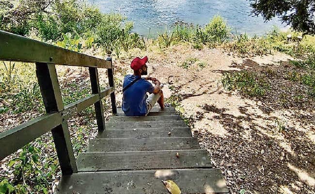 चौथा टी-20 आज : न्यूजीलैंड के खिलाफ विजय क्रम जारी रखने उतरेगा भारत, युवाओं को मौका दे सकते हैं कोहली