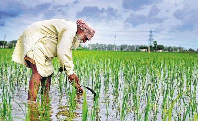 Budget 2020 विश्लेषण : ग्रामीण अर्थव्यवस्था, कृषि को लाभकारी बनाने की कोशिश