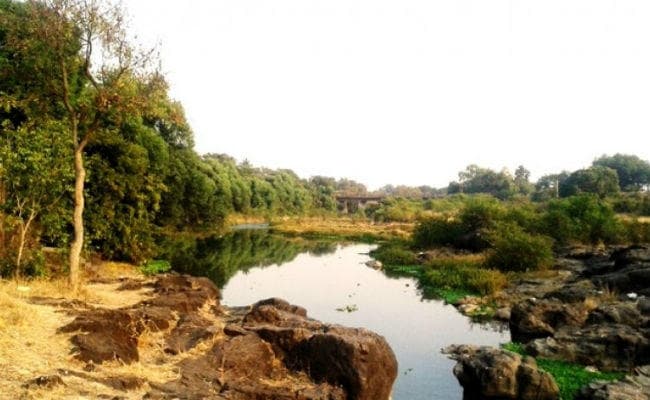 दामोदर नदी में फैल रहा प्रदूषण