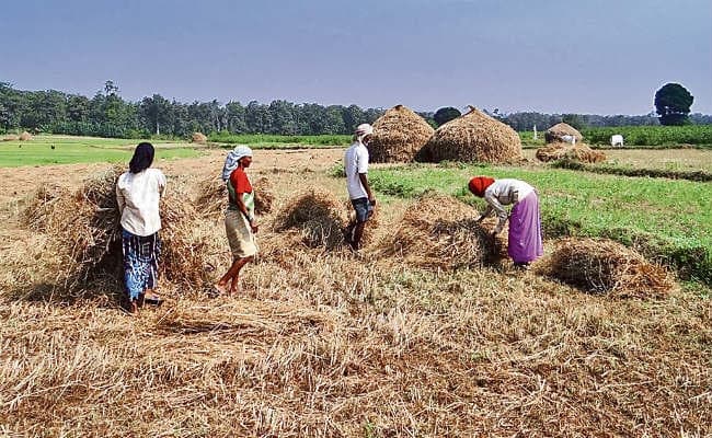 बिहार में मौसम के चलते बढ़ी गरीबी, घटी किसानों की आय, पढ़ें यह खास रिपोर्ट