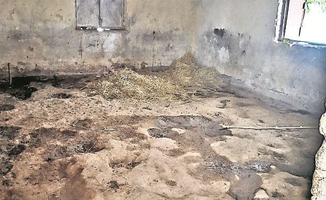 विलय के बाद बंद हुए स्कूल भवनों का दुरुपयोग, भवनों पर कब्जा, शिक्षक वसूल रहे भाड़ा