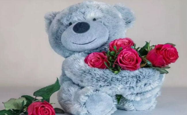 Teddy Day 2020: Wishes, quotes - कपल्स आज यूं मनायेंगे टेडी डे, म्यूजिकल टेडी की डिमांड जोरों पर