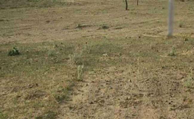 रांची : जालसाजी कर 200 एकड़ गैरमजरूआ जमीन का लगान निर्धारित कर दिया