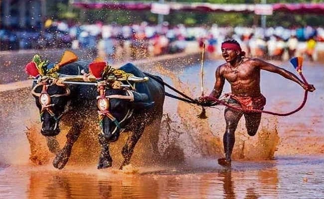 दावा : किसान ने तोड़ा बोल्ट का रिकॉर्ड