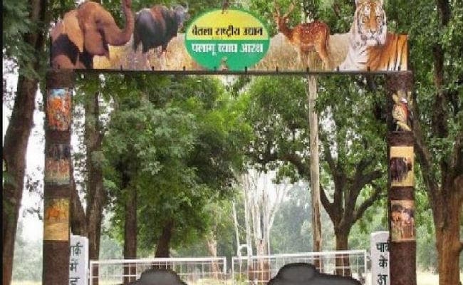 पलामू टाइगर रिजर्व : जंगल को बचाने के लिए 80 गांवों में बनी थी इको विकास समिति