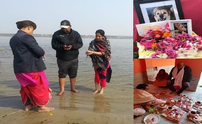 न्यूजीलैंड में पालतू कुत्ते की मौत, पटना आकर गंगा में प्रवाहित की अस्थियां, मोक्ष के लिए गया में किया पिंडदान