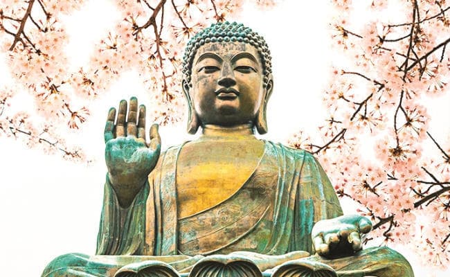 बुजुर्ग भिक्षु की उम्र सुन कर हैरान हुए बुद्ध