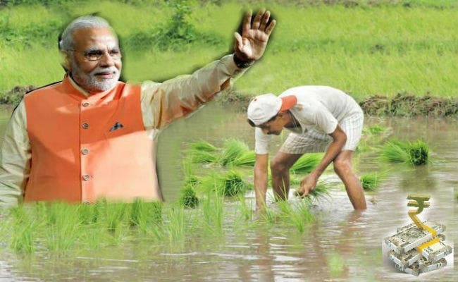 सोमवार को पूरा हो जायेगा पीएम किसान योजना का एक साल, सरकार ने अन्नदाताओं में बांटे 50,850 करोड़ रुपये