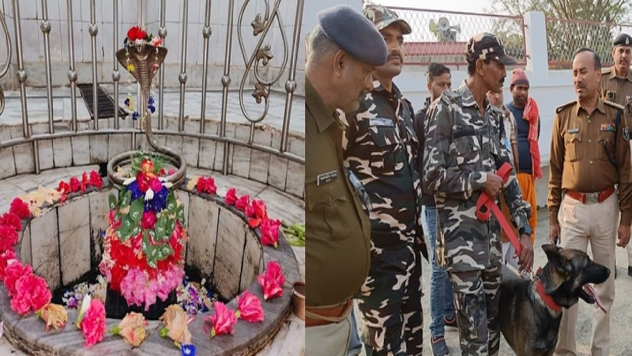 कलयुग में लुट गए भक्त और भगवान, कुत्ते के सहारे चोरो को खोज रही पुलिस, जानें क्या है पूरा मामला