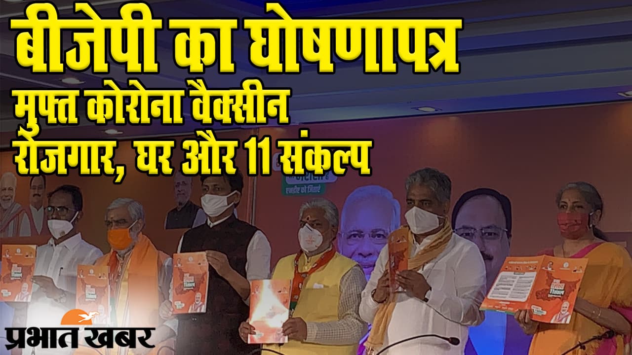 Bihar Election 2020: पीएम मोदी के ‘मिशन बिहार’ से पहले BJP तैयार, मुफ्त कोरोना वैक्सीन, रोजगार, घर के साथ लिए 11 संकल्प