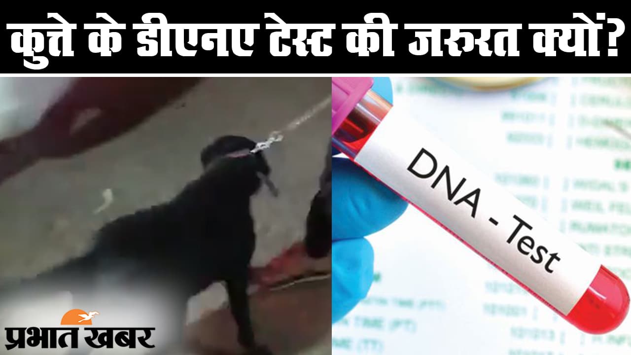 गुजरता वक्त, बढ़ाने लगा मुसीबत: भारत में 91 लाख के करीब कोरोना केस, वैक्सीन का इंतजार कब तक?