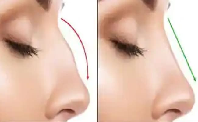 समुंद्र शास्त्र: नाक के अधार पर जानें अपना व्यक्तित्व, ऐसे नाक वाले होते हैं धनवान