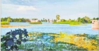 इस गांव में चारों तरफ दिखता है पानी ही पानी, दाने-दाने को मोहताज लोग