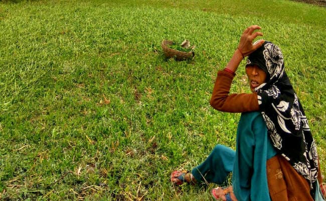 सामाजिक पिरामिड में महिलाएं सबसे नीचे