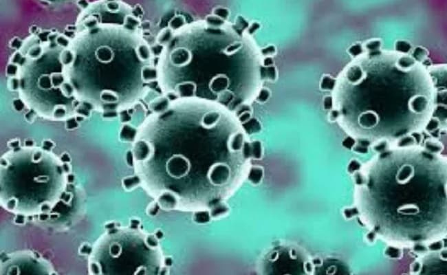 Coronavirus : बिहार विधानसभा का सत्र अनिश्चितकाल के लिए स्थगित किया गया