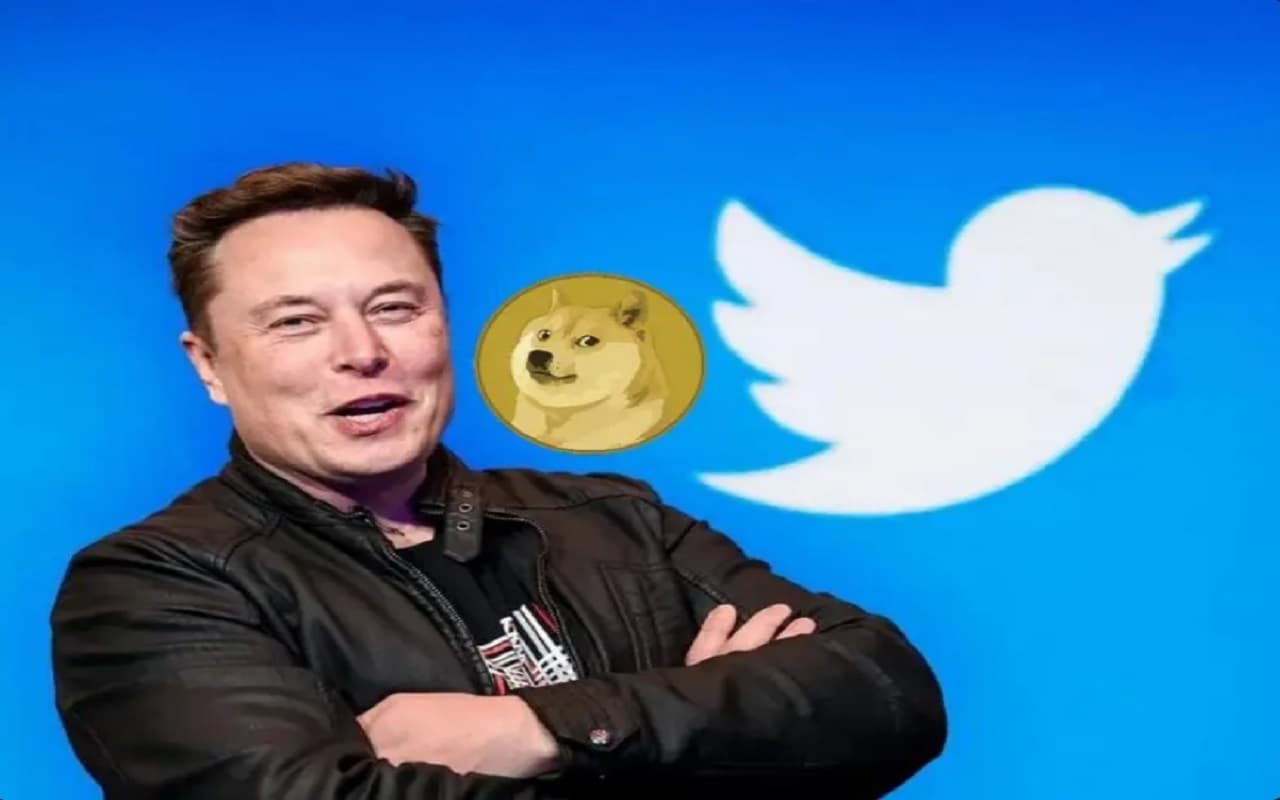 Twitter में नीली चिड़िया की जगह ली 'डॉगी' ने, Elon Musk के Logo बदलते ही 24% उछला क्रिप्टो का DOGE Coin