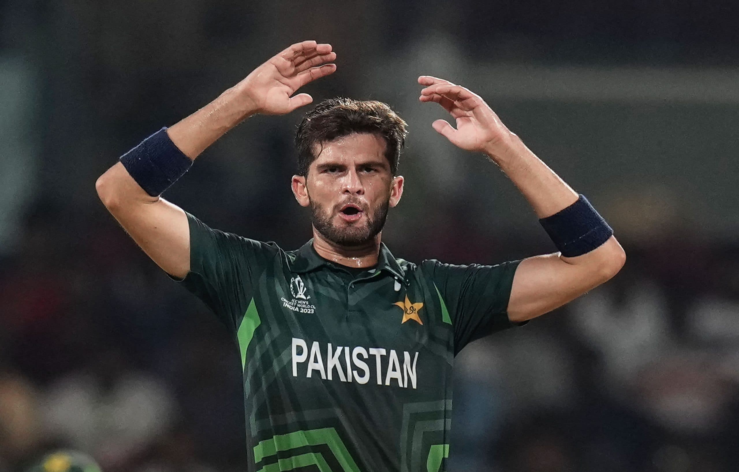 World Cup 2023: पाकिस्तान के कोच ग्रांट ब्रैडबर्न ने हार का ठीकरा भारत पर फोड़ा, कह दी बड़ी बात