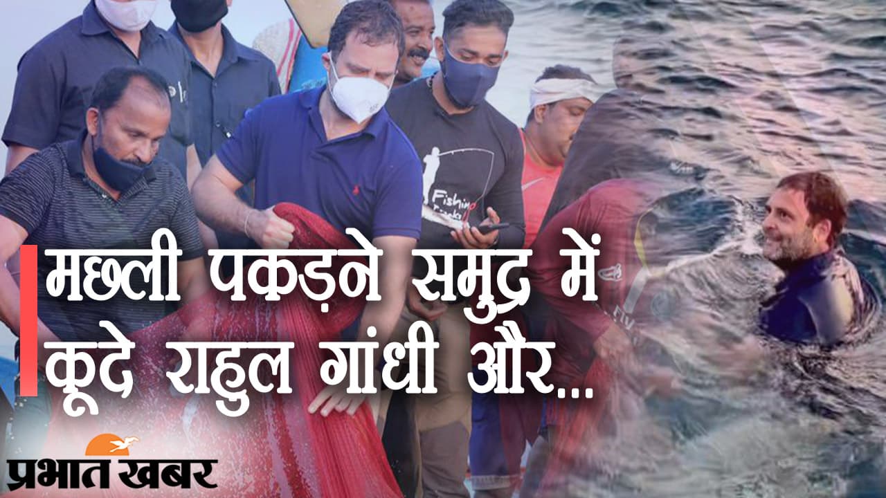 मछली पकड़ने समुद्र में कूदे कांग्रेस सांसद राहुल गांधी, हाथ लगा कुछ और... सोशल मीडिया पर वीडियो वायरल