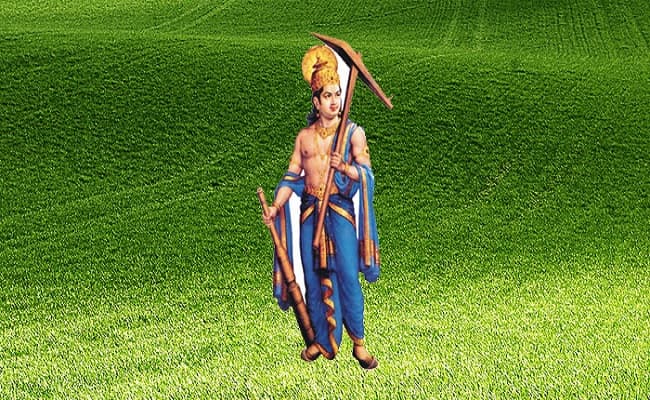 पाला से आलू की फसल को बचाने के लिए दवा स्प्रे जरुरी, खेत में झुलसा बीमारी फैलने पर करें ये काम