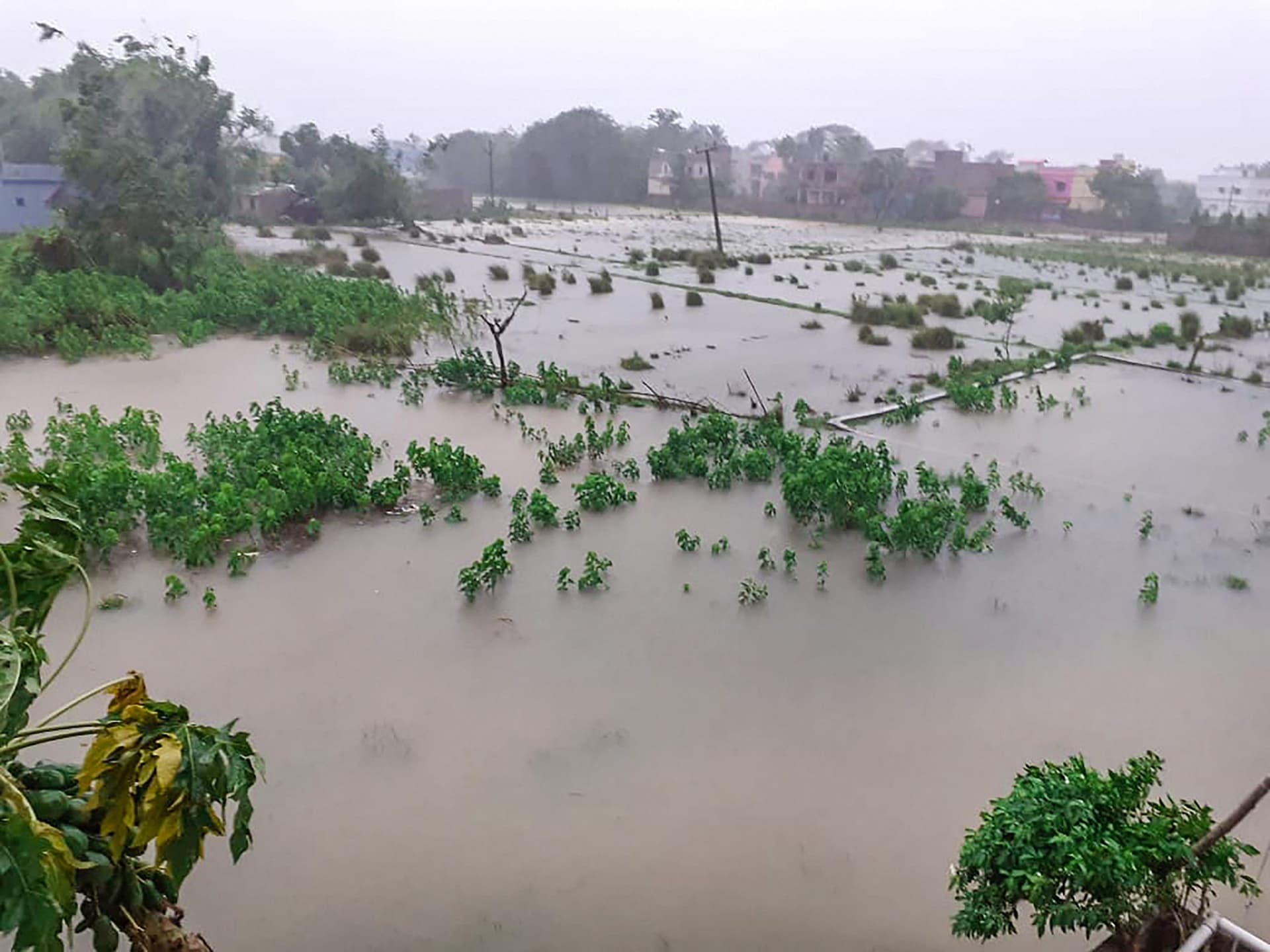 Weather Forecast Updates/Cyclone Yaas 2021 : चक्रवाती तूफान 'यास' का असर, पूर्वी यूपी, बिहार, पश्चिम बंगाल और सिक्किम में बारिश को लेकर रेड अलर्ट