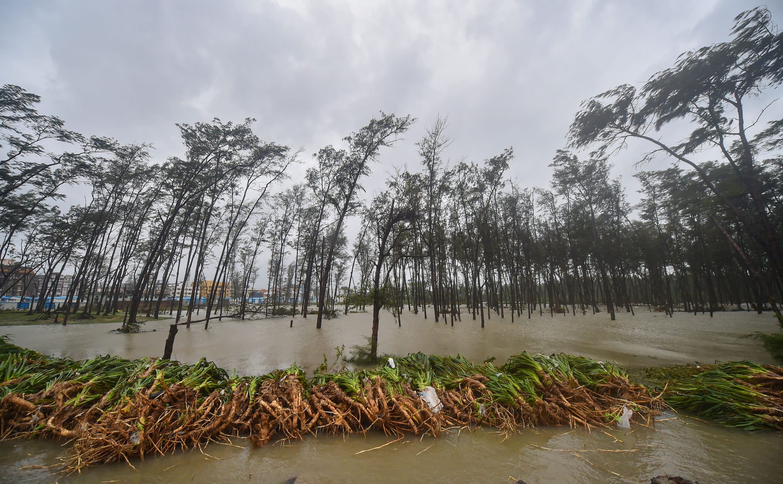 Cyclone Yaas 2021: दीघा सहित पूर्वी मेदिनीपुर के अधिकांश इलाकों में चारों ओर दिख रहा था पानी ही पानी