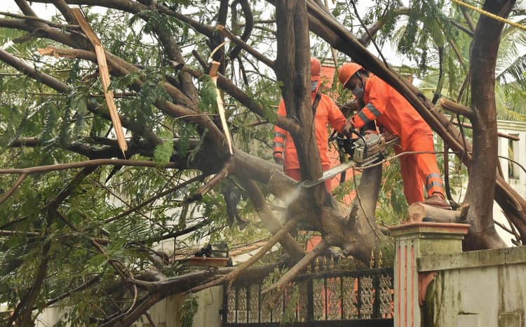 Cyclone Nivar Latest News : चक्रवाती तूफान निवार ने ली 3 की जान, 3 घायल 101 झोपड़ियां क्षतिग्रस्त
