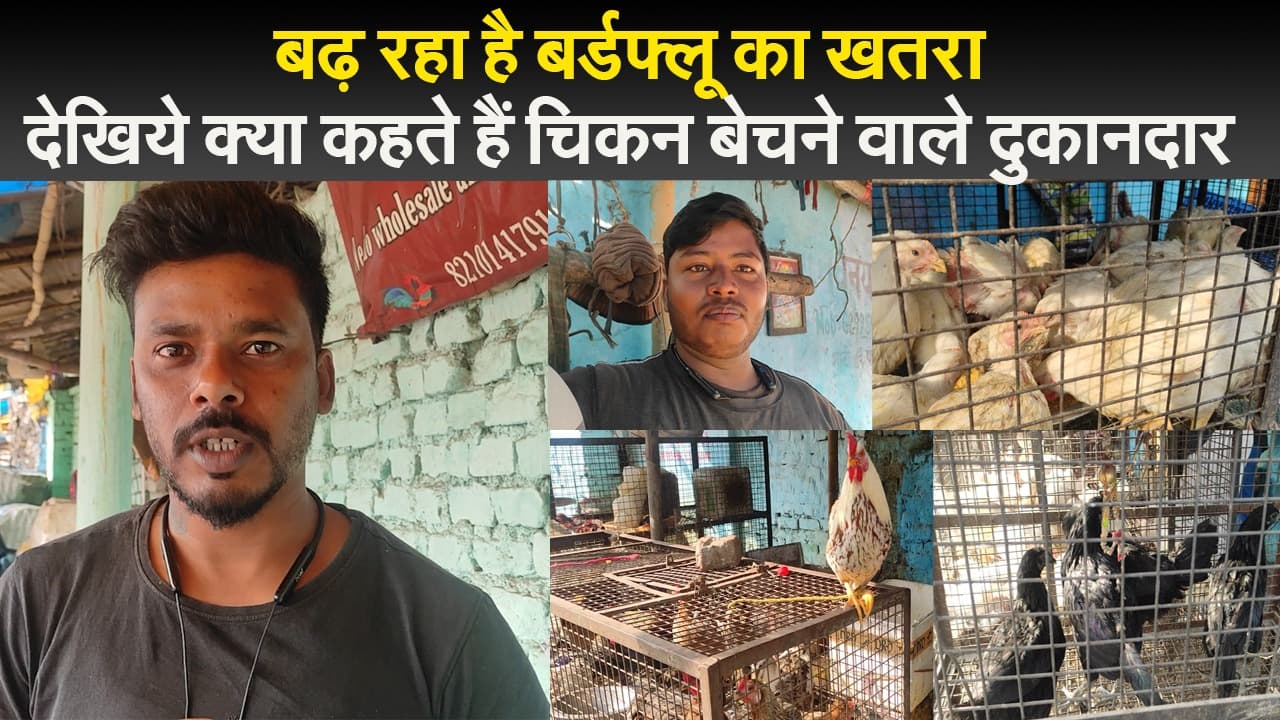 झारखंड : बढ़ रहा है बर्डफ्लू का खतरा, देखिये क्या कहते हैं चिकन बेचने वाले दुकानदार