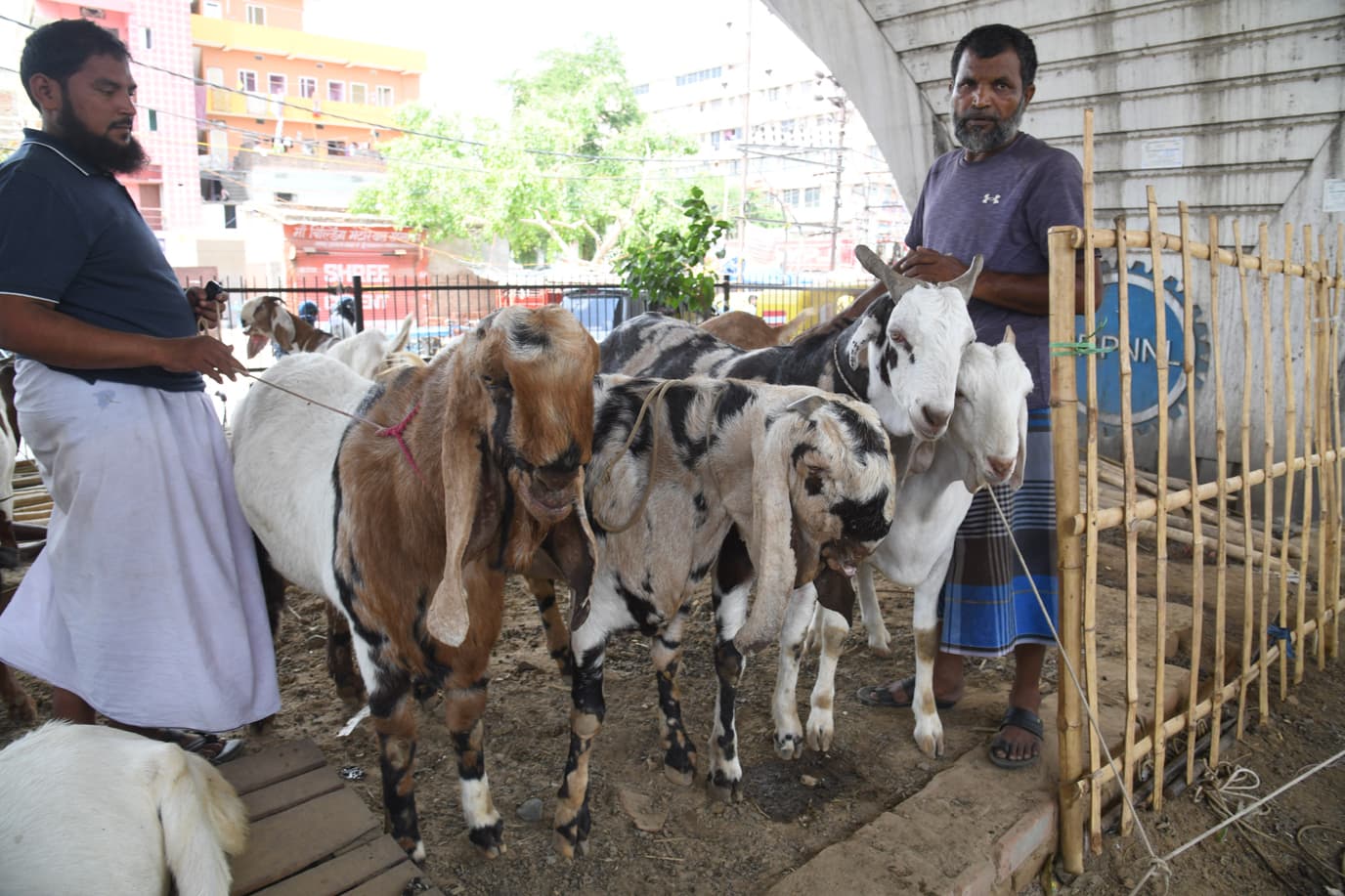 Bakrid: पटना के गांधी मैदान में कल से लोगों के प्रवेश पर रोक, पैदल आने वाले नमाजी इन गेटों से कर सकेंगे प्रवेश