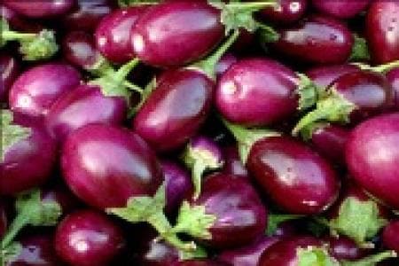 बिहार में प्रतिबंधित बीटी बैंगन की खेती को नष्ट कराने जल्द आयेगी केंद्रीय टीम