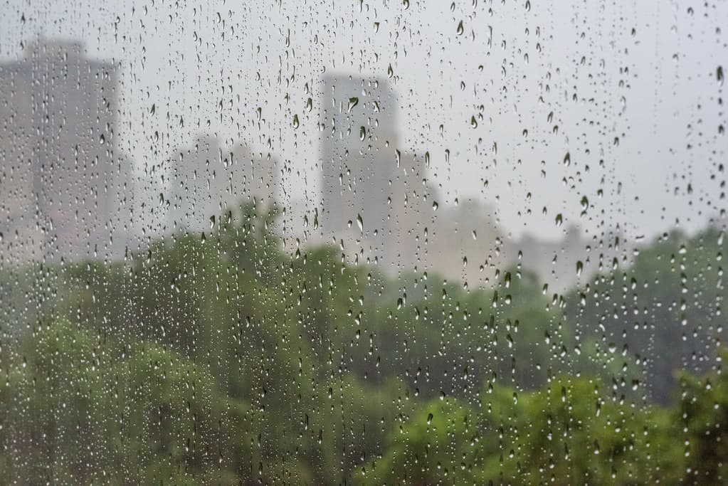 अम्फान तूफान कर सकता है परेशान, बिहार में बारिश की आशंका, अहम हैं अगले 72 घंटे
