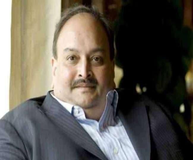 मेहुल चोकसी की याचिका पर दिल्ली हाईकोर्ट ने केंद्र और नेटफ्लिक्स से मांगा जवाब